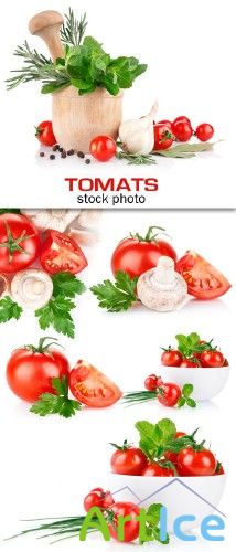 Tomats - photo |  - 