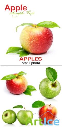 Apples 2 |  2