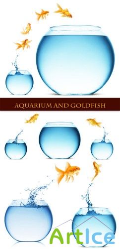 Aquarium and goldfish - Stock Photo |    