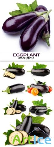 Eggplant - stock photo | , 