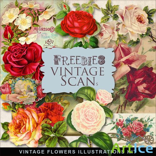 Scrap-kit - Vintage Flowers Illustrations #9