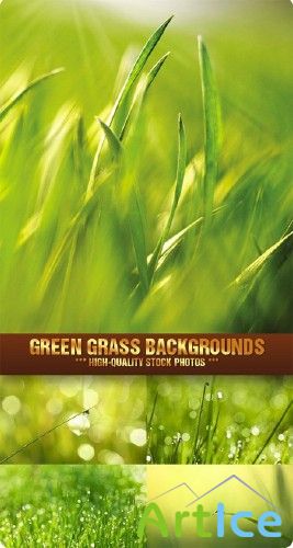 Stock Photo - Green Grass Backgrounds |  , 