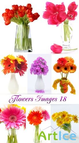 Flowers Images 18 |   18