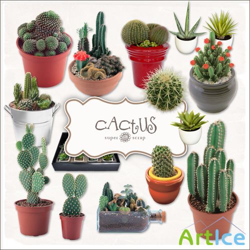 Scrap-kit - Cactus Set