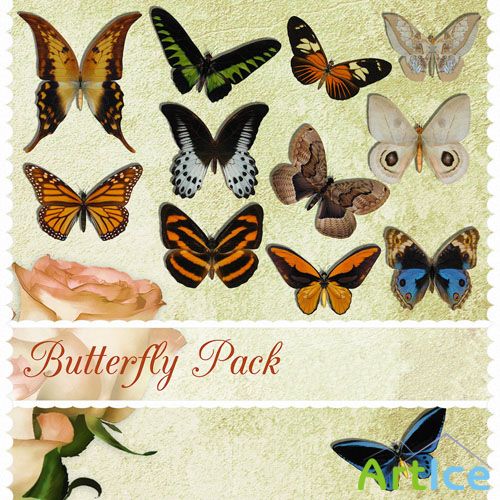 PNG Clipart - Butterfly Pack