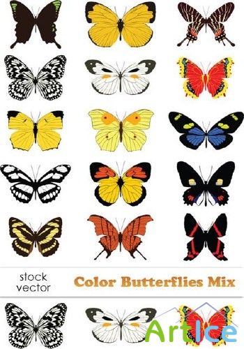 Vectors - Color Butterflies Mix |    