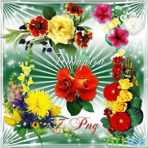 PNG Clipart - High Quality Flowers