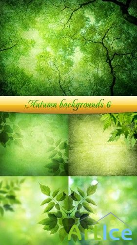 Stock Photo: Green leaves background |    