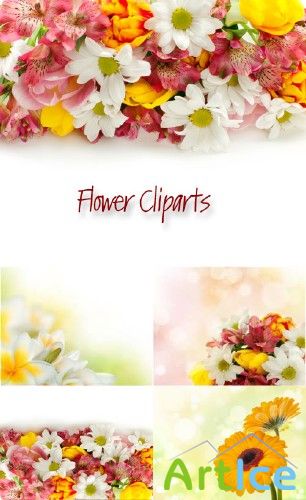 Flower Cliparts 14 |   14
