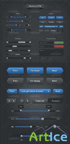 Blaubarry UI Kit - GraphicRiver