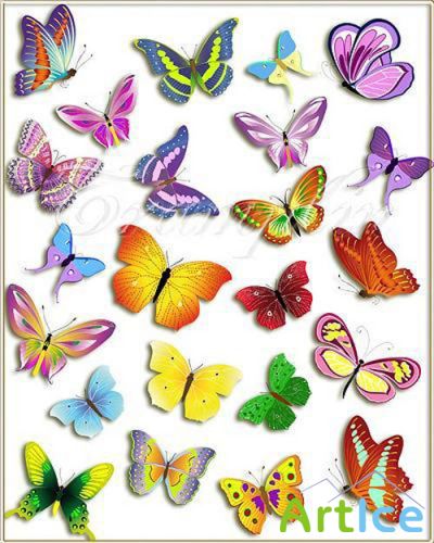 PSD Clipart - High Quality Butterfly