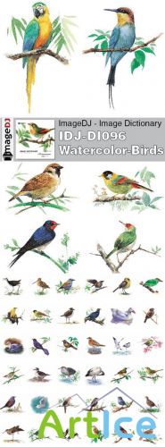 Stock Photo - ImageDJ - IDJ-DI096 Watercolor Birds