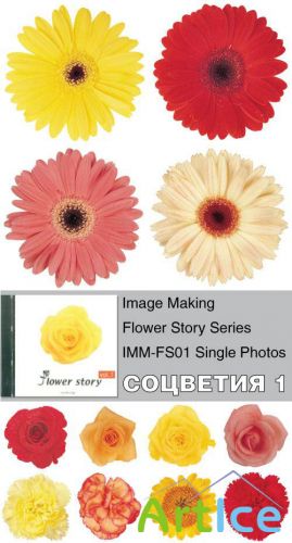 Image Making - Flower Story Series - IMM-FS01 Single Photos