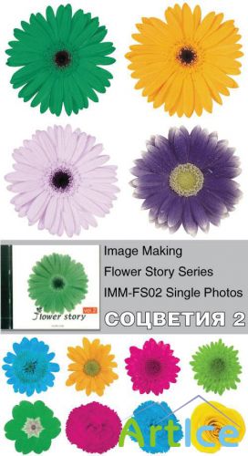 Image Making - Flower Story Series - IMM-FS02 Single Photos