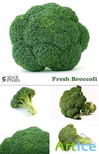 Photos - Fresh Broccoli