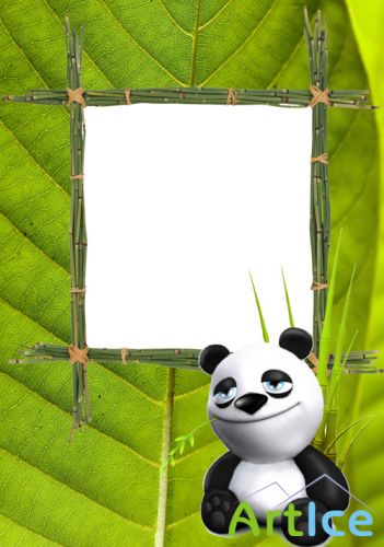 Photo Frame - Panda