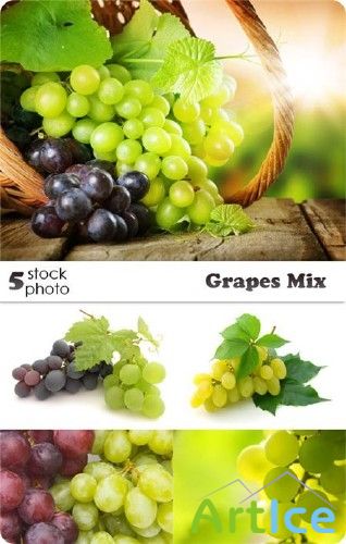 Photos - Grapes Mix