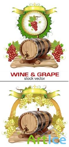 Wine & grape vector