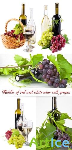 Stock Photo: Bottles of red and white wine with grapes