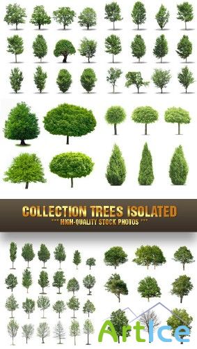 Stock Photo - Collection Trees Isolated