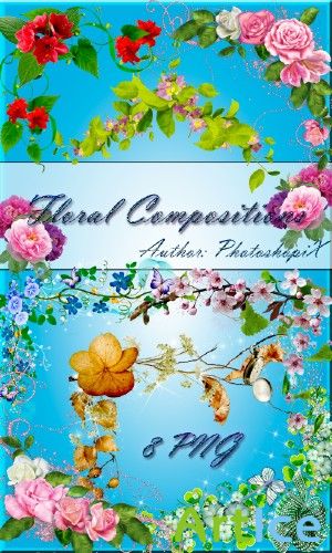    PNG  Floral Compositions