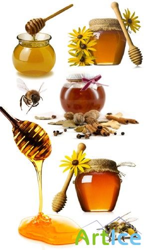 Honey isolated on white background - Stock Photo