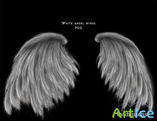 White angel wings psd