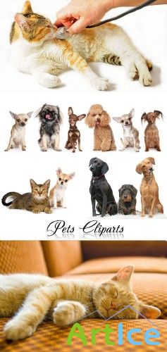 Pets Cliparts