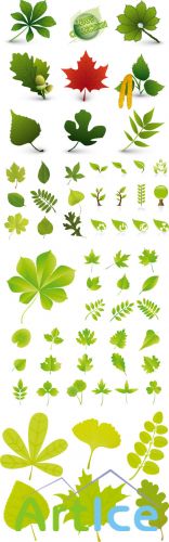 Various Forms of Leaf Vector