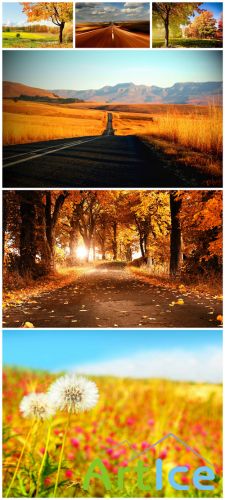 Autumn - Fall, landscape, road, forest, field