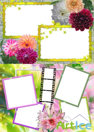 Photo Frame - Color Chrysanthemum