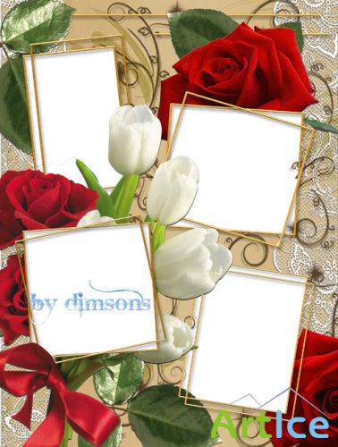 Photo Frame - Red rose