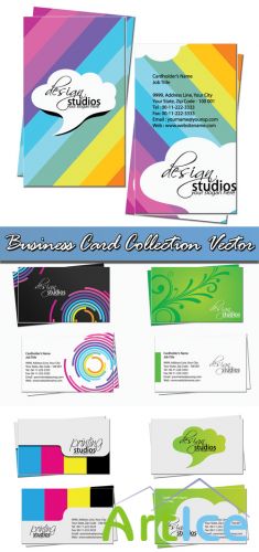 Business Card Collection Vector
