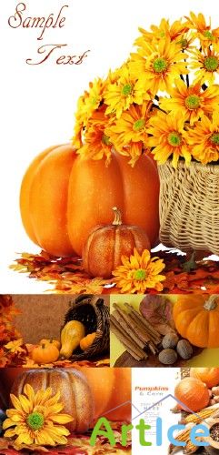 Stock Photos - Pumpkins and Autumn Backgrounds