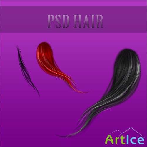 Psd hair file