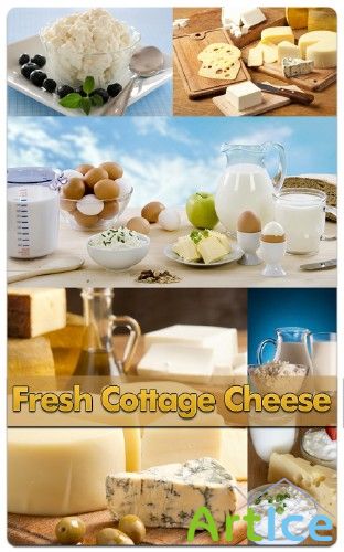 Fresh Cottage Cheese - Stock Photo