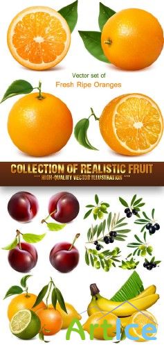 Stock Vector - Collection of Realistic Fruit