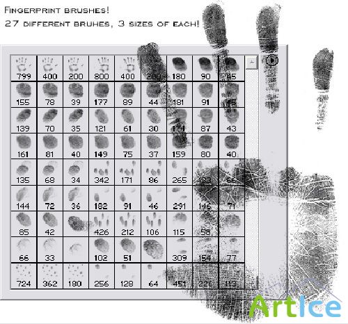 Fingerprint brushes