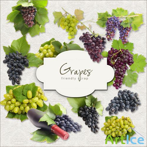 Scrap-kit - Grapes #1