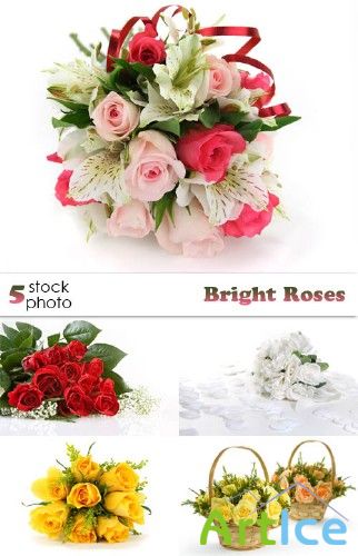 Photos - Bright Roses