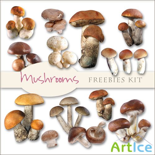Scrap-kit - Mushrooms Images #1