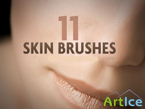 11 Skin brushes
