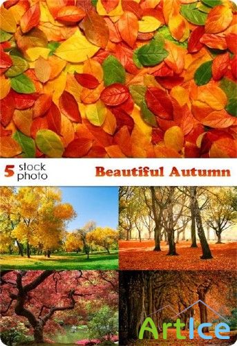 Photos - Beautiful Autumn