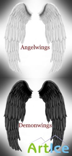 Angel and Demon Wings PSD