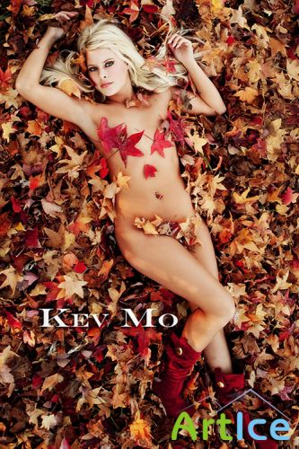 Kev Mo's Photos