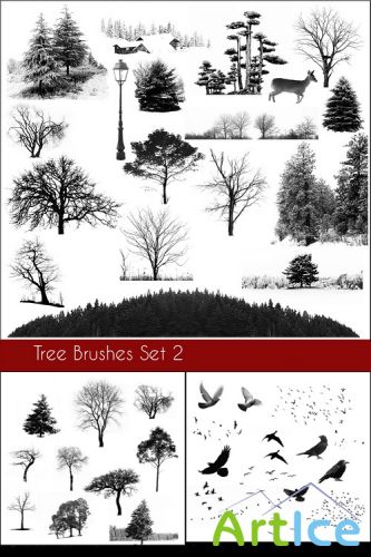 Tree Brushes and bird  Brushes set