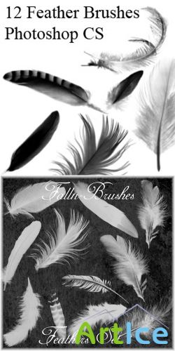 Feathers Brushes Set 1,2
