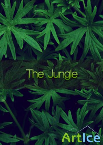 The Jungle Wall