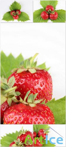Photo Cliparts - Strawberry