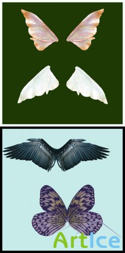 Butterfly wings pack # 1